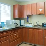 lab